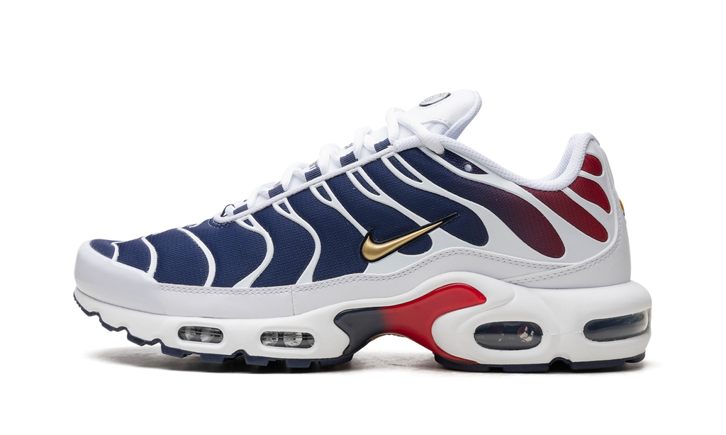 Nike Air Max Plus "PSG"