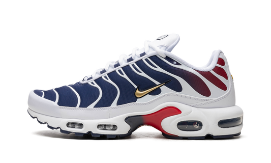 Nike Air Max Plus "PSG"