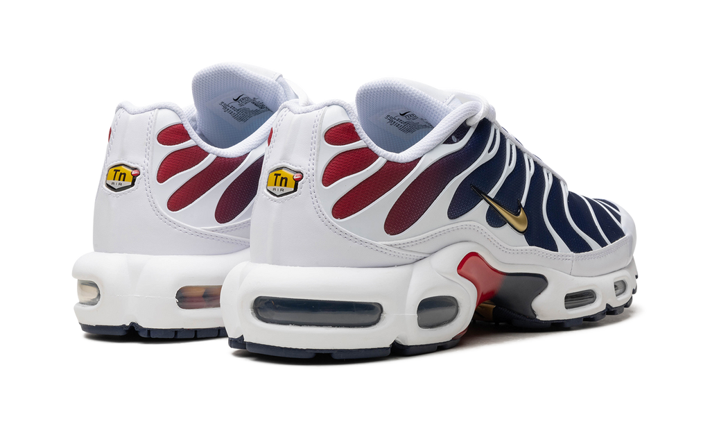 Nike Air Max Plus "PSG"