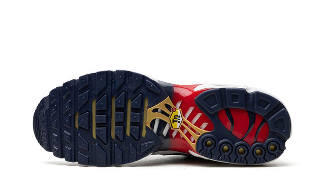 Nike Air Max Plus "PSG"