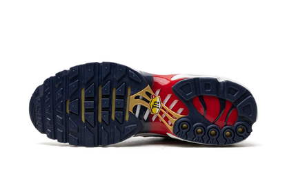 Nike Air Max Plus "PSG"