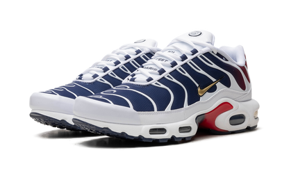 Nike Air Max Plus "PSG"